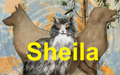 Sheila.