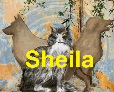 シーラ Sheila